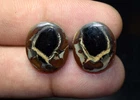 16.85 Cts. 100% Natural Septarian Gronates Matched Earrings Pair Loose Gemstones