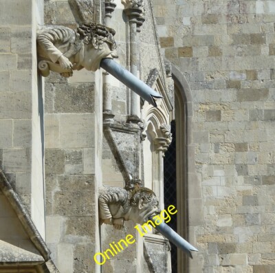 Foto 12x8 Chichester Cathedral - Moderne Wasserspeier Es gibt einige herrliche c2012