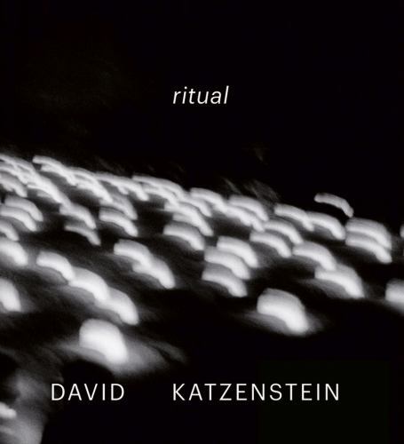 David Katzenstein : Brownie by Richard Grosbard (2022, Hardcover)