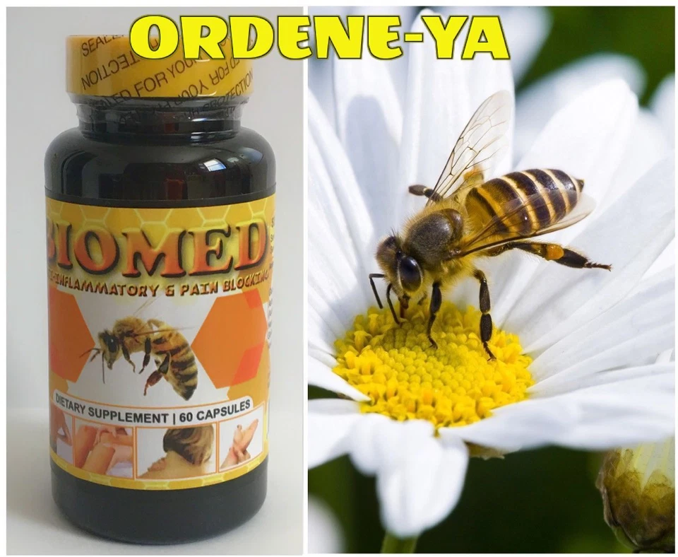 3 BIOMED Terapia Antiinflamatoria de Abejas Artritis Dolor Músculo Milagro Control Cura Foto 4 de 4