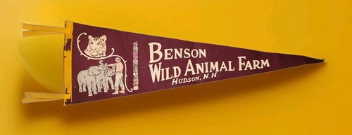 Vtg 27" Benson Wild Animal Farm Hudson New Hampshire 1960s Era Pennant Banner