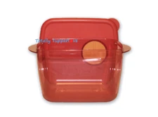 Tupperware Rock N Serve Deep Rectangle 6.25 Cups Cinnamon Red Vintage NEW ❤️