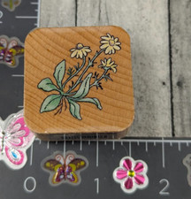 Stampendous Daisies CN006 Flowers Rubber Stamp Wood L93