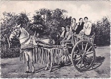 PALERMO - CARRO SICILIANO - VIAGG. 1951 -88900-