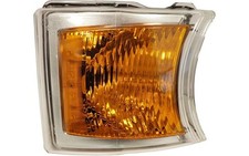 fits SCANIA R P G  Blinker LINKS / RECHTS