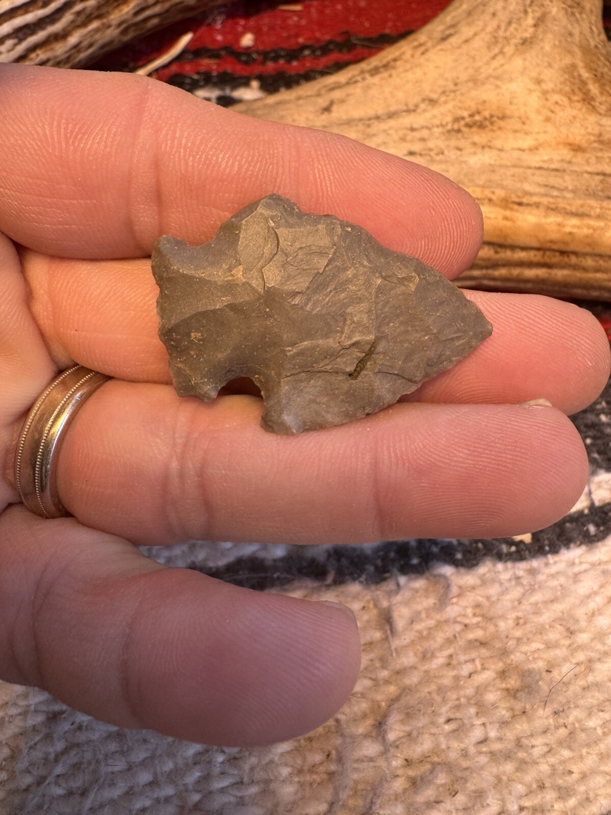Picture 2 of 17