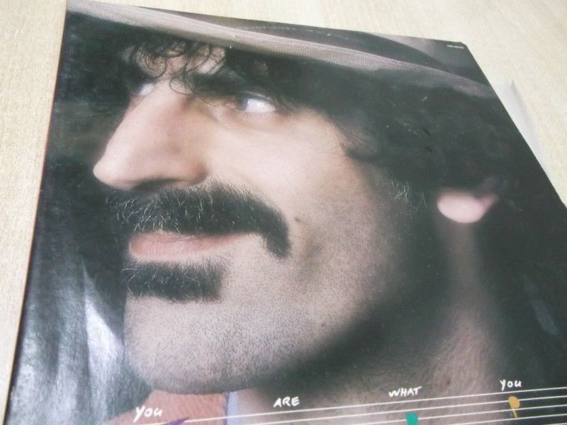 洋楽 Frank Zappa You Are What You Is Frank Zappa - You Are What You Is - Amazon.com Music