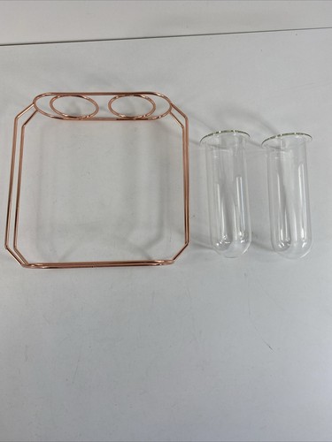 Tao Rose Gold Stem Vase Air Plant Propagation Tubes - 2 tubes - Picture 8 of 8