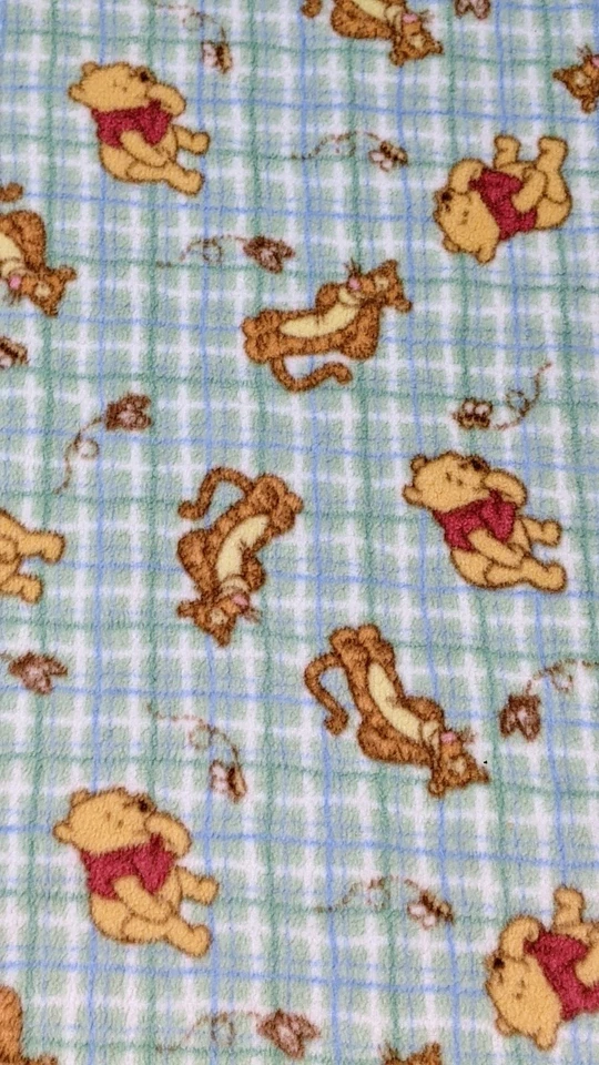Manta polar a cuadros verde/azul Disney Winnie The Pooh & Tigger para recibir bebés Foto 3 de 4
