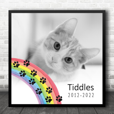 Regenbogen Pfoten Tier Haustier Hund Katze Denkmal Foto Quadrat Personalisiert Geschenk Druck