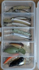 Zacca, PanicraCarefully selected colors that catch fish well
