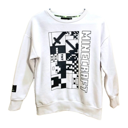 Minecraft Boys YOUTH Size 11-12 Yrs Build, Create, Explore! Sweatshirt ...