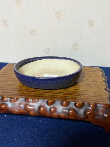 Japanese Bonsai pot HEKISHO Oval shape W17cm H4cm Ruri-blue Glazed - Picture 9 of 24