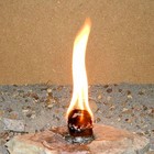 Bild 9 von 12