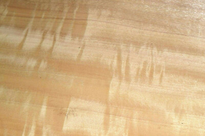 Primavera Raw Wood Veneer Sheet 8 x 46 inches 1/42nd                    R6131-40