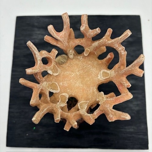 De colección Ganz Navidad Resina Corteza Alce Cuernos Votivo Vela/Soporte de Luz de Té - Imagen 9 de 13