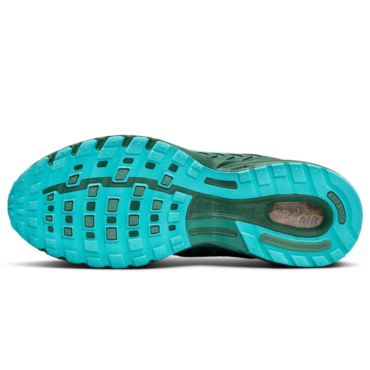Nike Air Pegasus 2005 Fir/Bicoastal/Dusty Cactus/Fir FZ7354