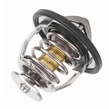 Thermostat Lexus RX