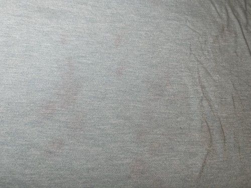 Camiseta para mujer Aeropostale clásica Crew verde azulado/azul manga corta talla L grande - Imagen 10 de 12