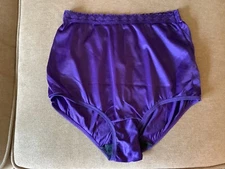 Vintage SILKY Soft Nylon Brief Panties Size 7/L Myonne Purple Lace