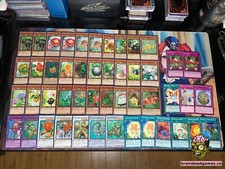 Mazzo di Piante Yugioh Naturia - Insetto, Roccia, Bestia, Barkion, Trappola Trucco, Albero
