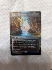 1x NM REVERSABLE BORDERLESS Hallowed Fountain MTG Lorwyn Eclipsed SV