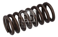 Febi Bilstein Ventilfeder 187748 FüR DAF CF XF 2 85 XG 105 XFC