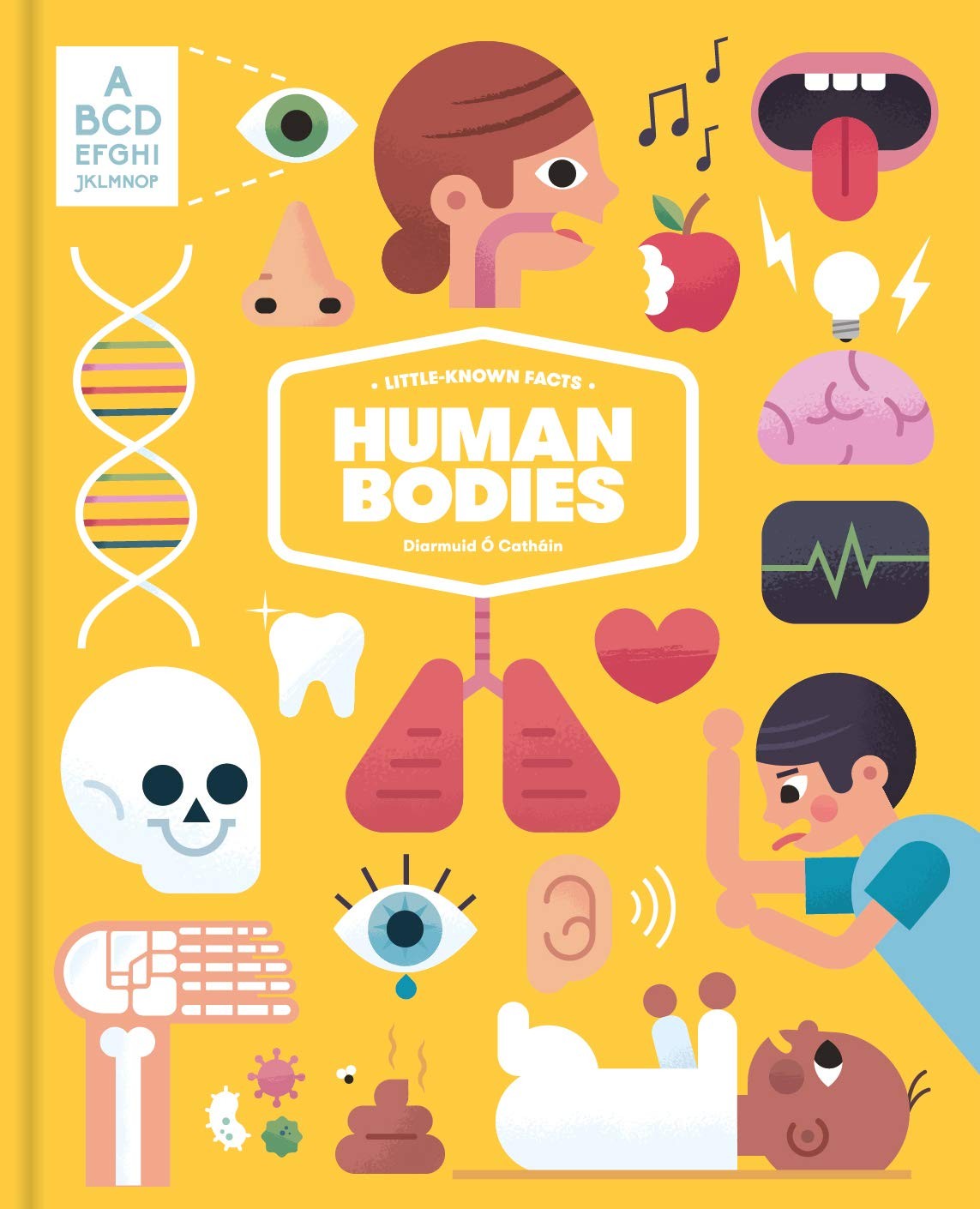 Little-known Facts: The Human Body,Ó Catháin, Diarmuid Diarmuid