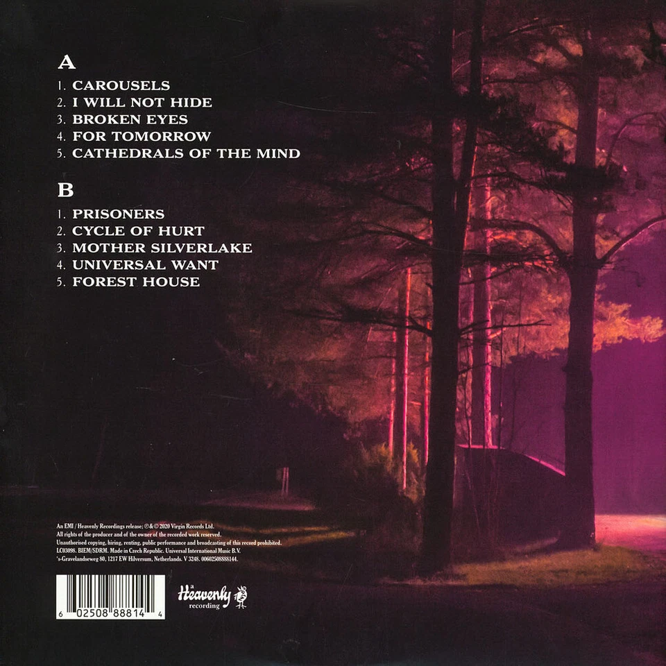 Doves - The Universal Want (Vinyl LP - 2020 - EU - Original) - Bild 2 von 2