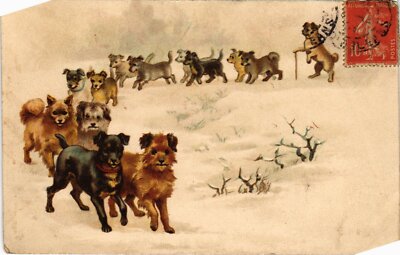CPA AK Marching Dogs DOGS (1388238)