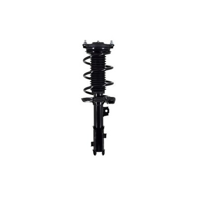 Fcs Struts 1334051L Suspension Strut And Coil Spring Assembly