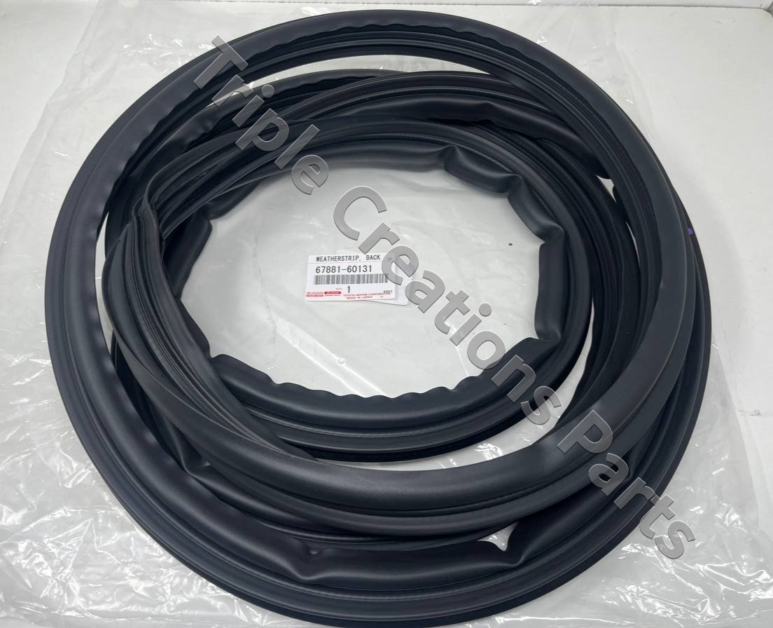 ストラップ 678 SLY | HOLE LACE トップス (Tシャツ・カットソー(長袖) ) |SHEL