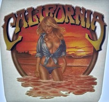 Original Vintage 1976 California Girl Iron On Transfer