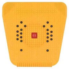 Forestree "Relief from Pain and Stress with Acupressure and Magnetic Therapy"