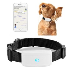 PDR*COLLARE LOCALIZZATORE GPS GSM TRACKER PER ANIMALI CANE GATTO CON COLLARE 