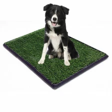 Replacement Grass Pet Turf for Dog or Cat Potty Trays - Fits Trays 20" x 30"