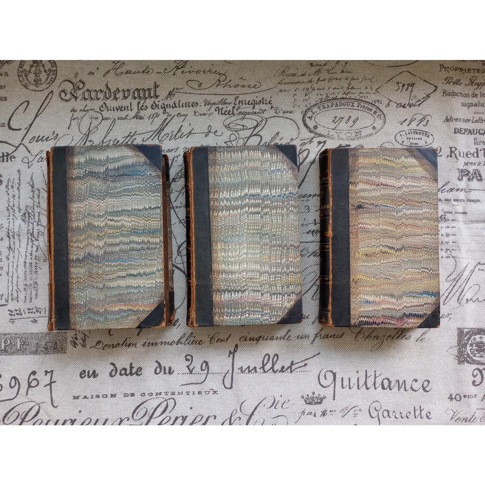 Liebig's Organic Chemistry Traite De Chimie Organique French 3 Vol Set 1840 Rare - Image 2 of 4