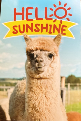 Alpaca Hello Sunshine Postcard Ephemera #5589 Card Tag
