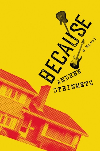 Because A Novel by Andrew Steinmetz (Paperback Book)