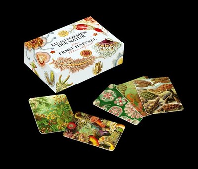 Das Ernst-Haeckel-Memo-Spiel, Ernst Haeckel