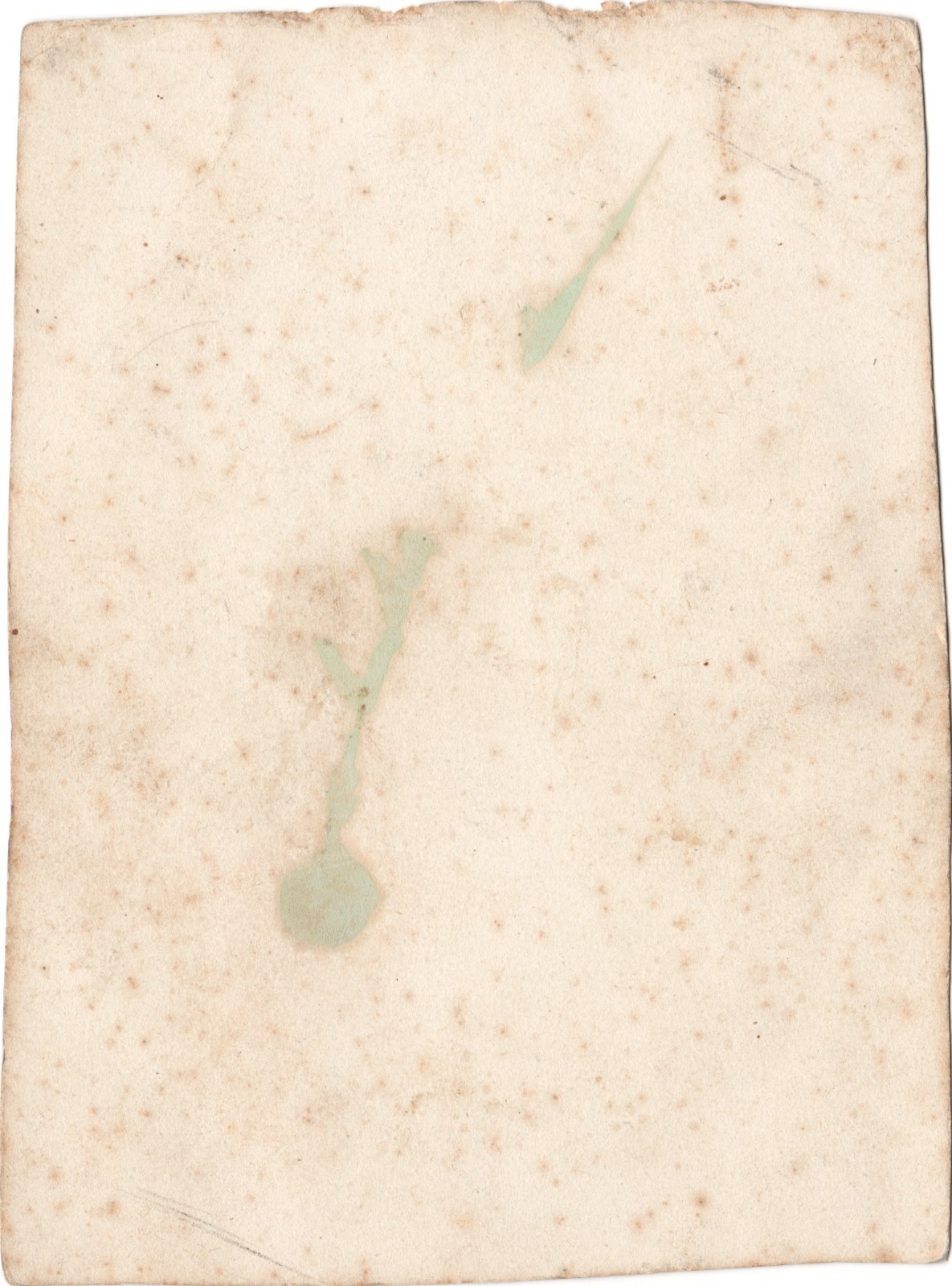 구레나룻 있는 남자, 식민지? 1855년경, 염화은 종이 타원형 사진 인화 2