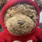 Vintage GUND Hand-Crafted Limited Edition 2000 Millenium Bear LOVE and HOPE — photo 5