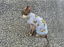 Handmade Sphynx Cat Clothes Cat Clothes Bambino Cat Clothes Sphynx Cat Shirt Cat