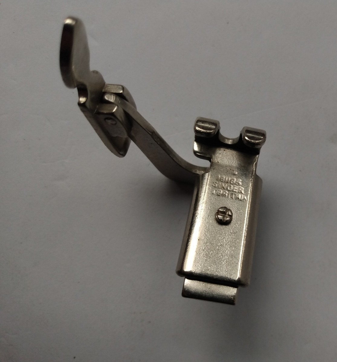 ミュージシャン S 入荷情報〉 【サラセニア・モンタナ】 科名 : サラセニア科 属名