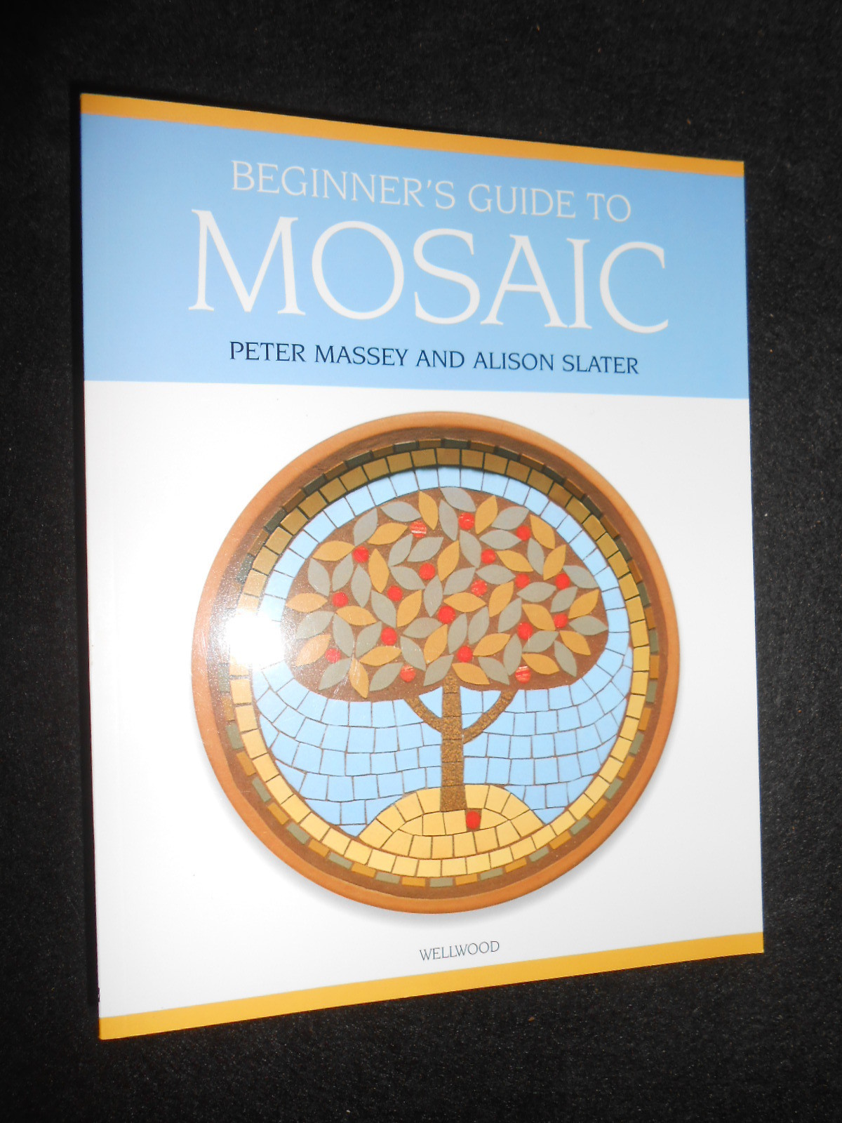 Beginner's Guide to Mosaic by Peter Massey, Alison Slater (Softback, 2005) Craft