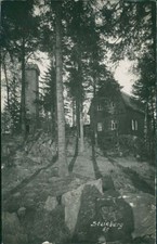 Ansichtskarte abgest. Wernesgrün Vogtland Steinberg (Nr.9554)