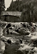 RPPC Krkonose Bile Labe Bridge vintage postcard m287