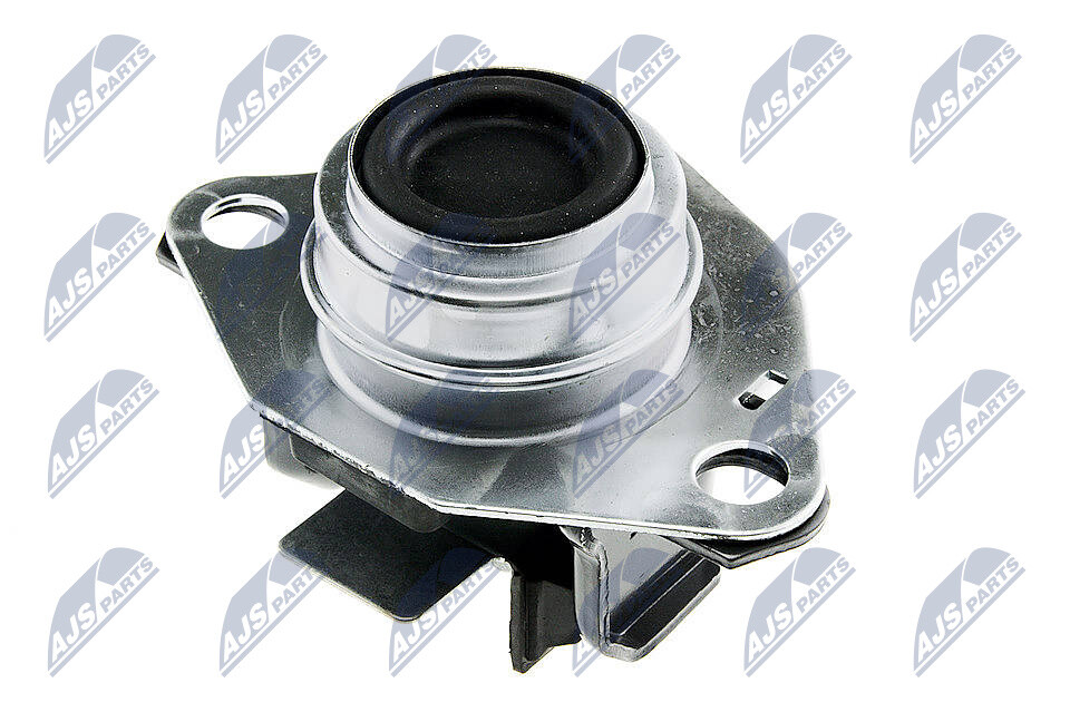 ZPS-RE-038 NTY Engine Mounting for RENAULT