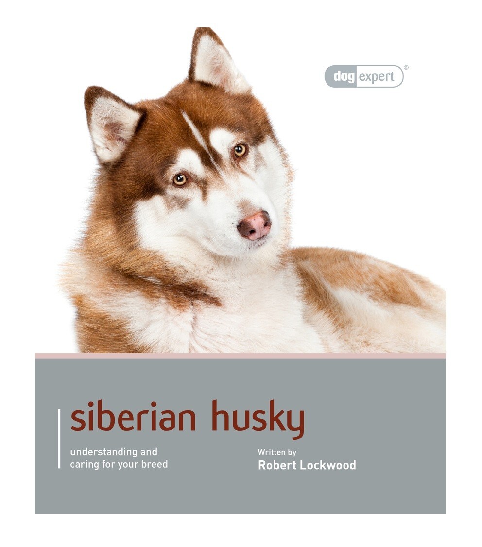 Siberian Husky - Dog Expert