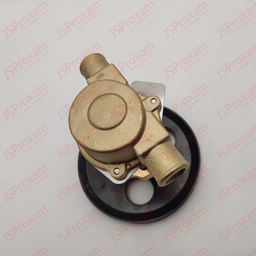 18830-0010 For Sherwood Pleasurecraft Jabsco G20 G21 Water Pump RA057007 - Picture 3 of 5